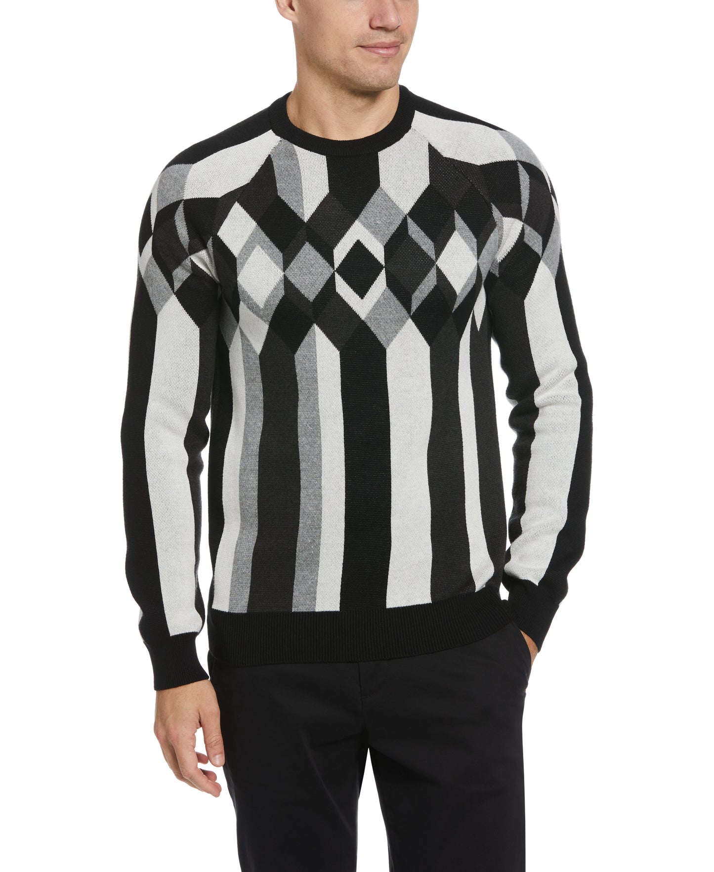 Pattern Crew Neck Sweater